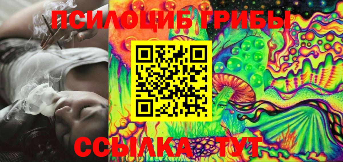 Псилоцибиновые грибы Magic Shrooms Звенигород