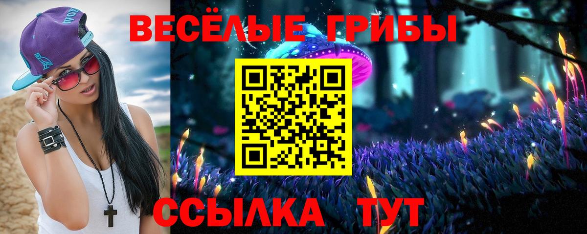 Звенигород  Галлюциногенные грибы Psilocybine cubensis  Вход с VPN 